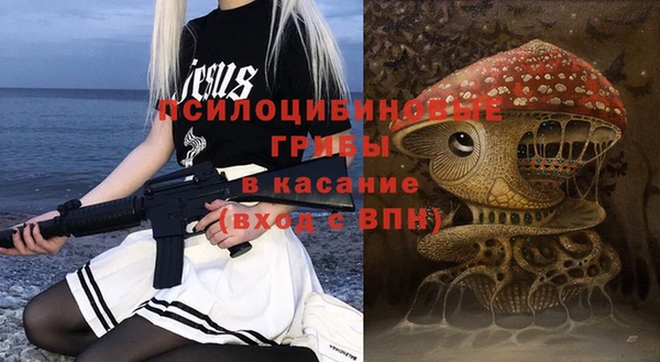 стаф Абаза